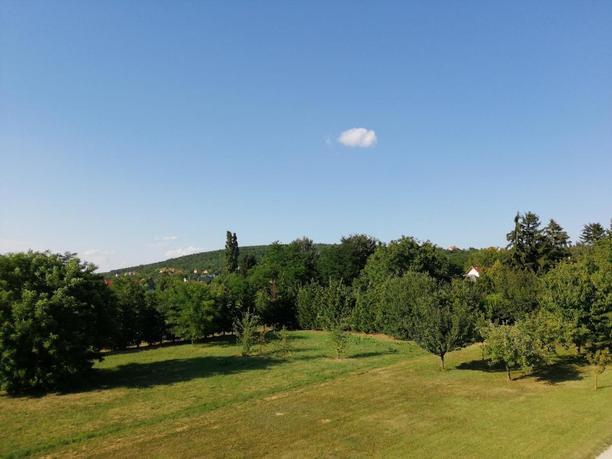 Apartmán Casa Ninfea Panzio Cserszegtomaj Exteriér fotografie